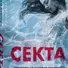 Секта. Невероятная история девушки, сбежавшей из секс-культа - 2