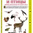 Животные и птицы. Дикие обитатели русского леса. Наглядный карманный определитель - 2