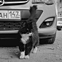 аватар