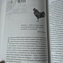 Фото отзыв 0