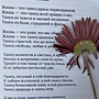 Фото отзыв 0