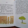 Фото отзыв 5