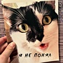 Фото отзыв 0