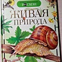 Фото отзыв 0