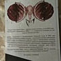 Фото отзыв 1
