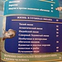 Фото отзыв 2