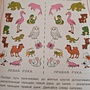 Фото отзыв 5