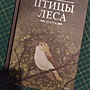 Фото отзыв 0