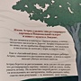 Фото отзыв 2