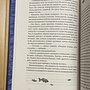 Фото отзыв 10