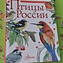 Фото отзыв 0
