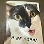 Фото отзыв 0