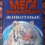 Фото отзыв 0
