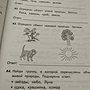 Фото отзыв 0