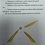 Фото отзыв 2