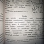 Фото отзыв 0