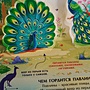 Фото отзыв 1