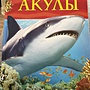 Фото отзыв 0