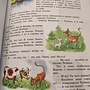 Фото отзыв 0