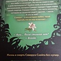 Фото отзыв 27