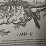 Фото отзыв 2