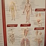 Фото отзыв 1
