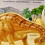 Фото отзыв 4