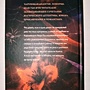 Фото отзыв 1