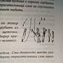 Фото отзыв 3
