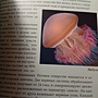 Фото отзыв 3