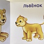 Фото отзыв 2