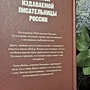 Фото отзыв 1