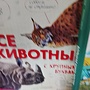 Фото отзыв 0