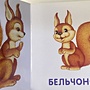 Фото отзыв 0