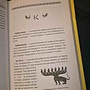 Фото отзыв 4