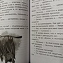 Фото отзыв 2