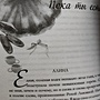 Фото отзыв 2