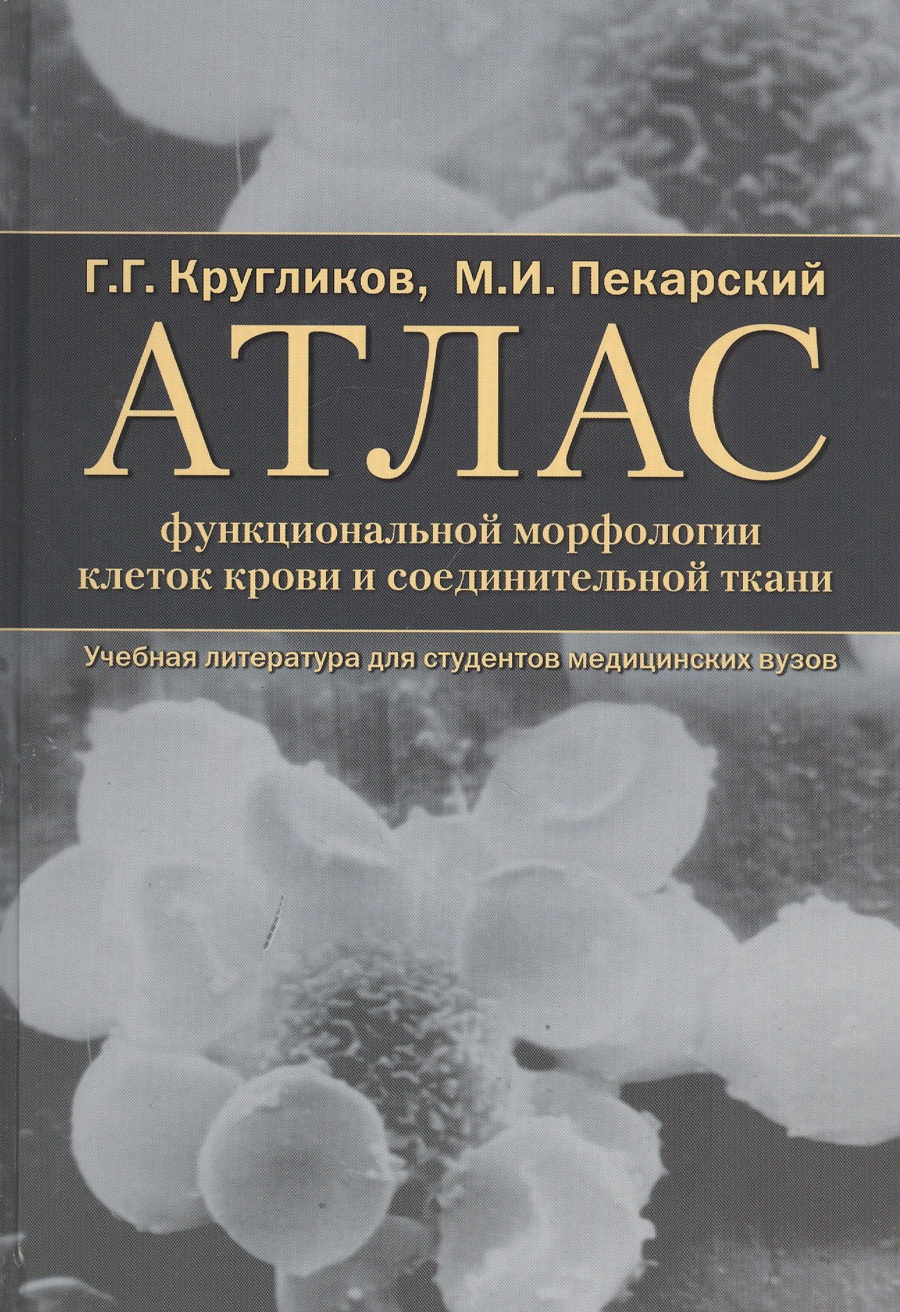 

Атлас функциональной морфологии клеток крови и соединительной ткани (сканирующая и трансмиссионная электронная микроскопия). Учебное пособие