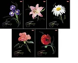 Тетрадь 80л кл. "Flowers on black" выб.лак, ассорти, Hatber