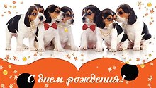 Конверт для денег С Днем рождения! Щенки [РЕ221-00042]