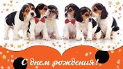 Конверт для денег С Днем рождения! Щенки [РЕ221-00042]