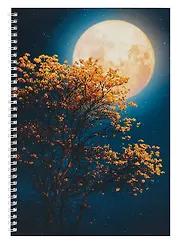 Тетрадь в клетку Listoff, "Лунная ночь", А4, 60 листов