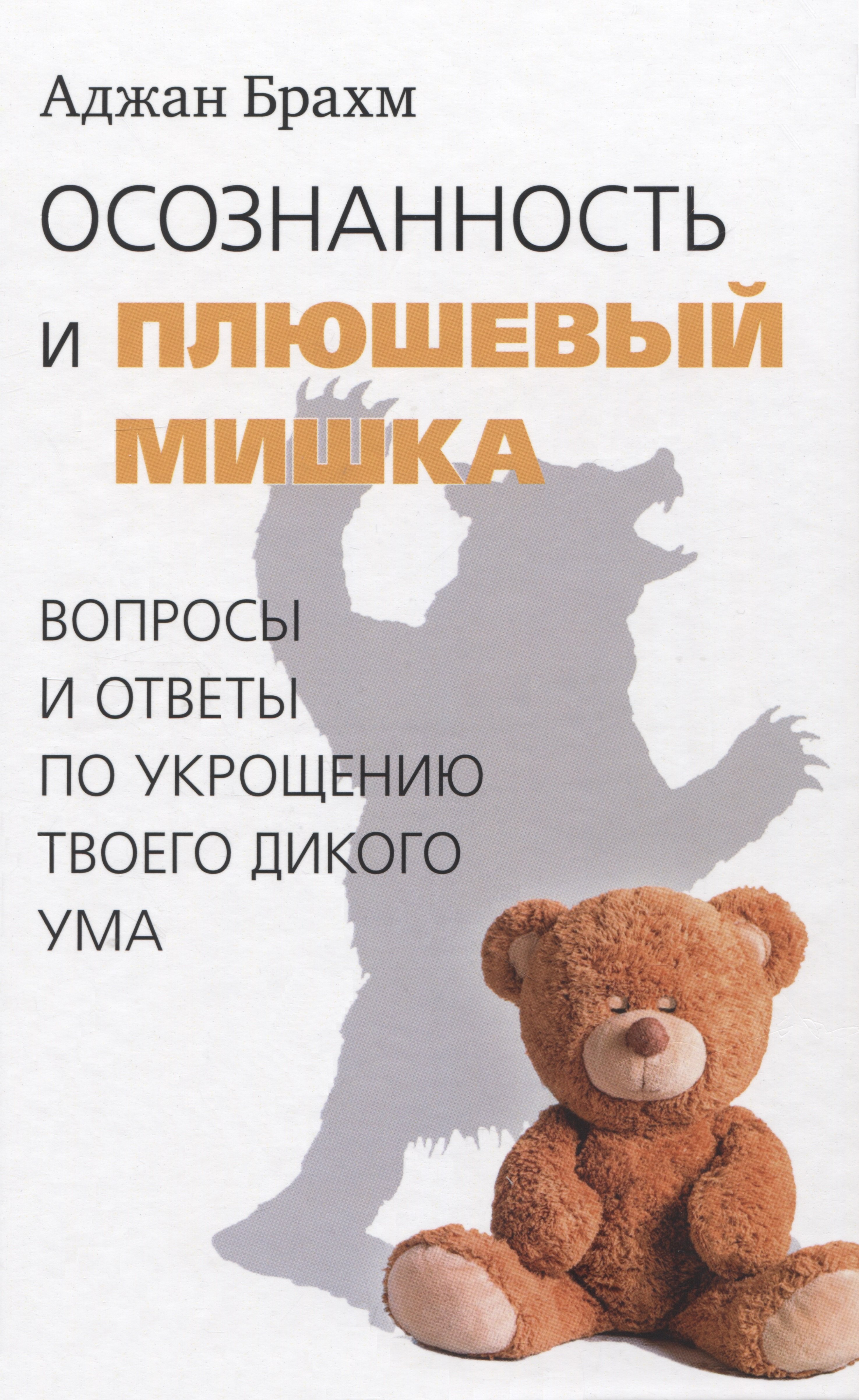 

Осознанность и плюшевый мишка. Вопросы и ответы по укрощению твоего дикого ума