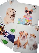 Пакет подарочный бумажный А4 26*32*12.5 "Funny animals", дет., мат. ламинат, Kairui