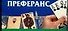 Преферанс - 0