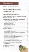 Обрезка плодовых деревьев и кустарников - 1