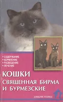 Кошки священная бирма и бурмезские