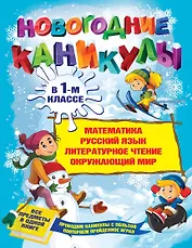 Новогодние каникулы в 1-м классе