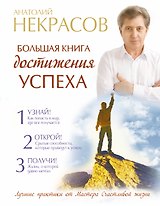 Большая книга достижения успеха