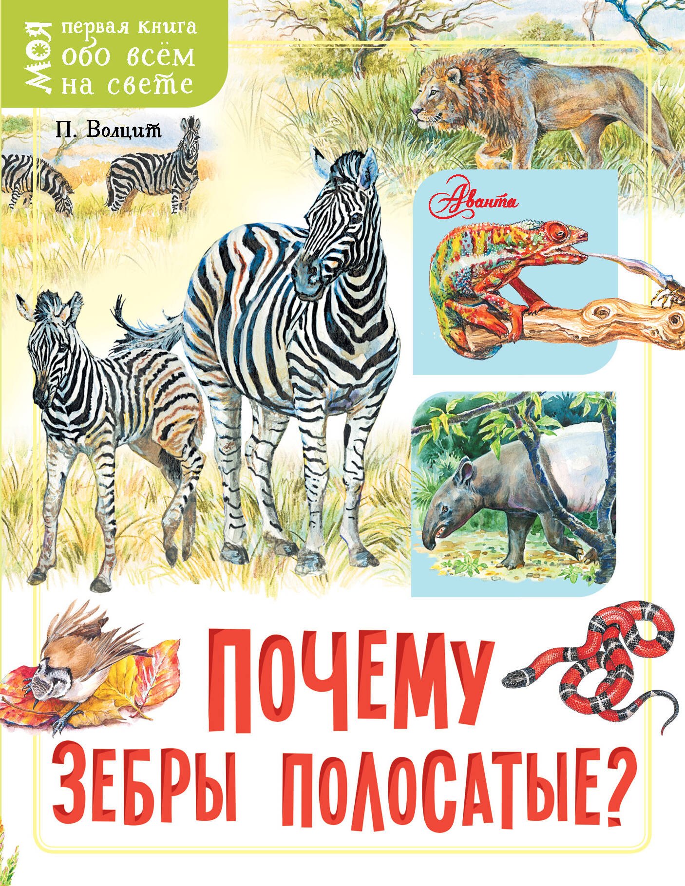 

Почему зебры полосатые